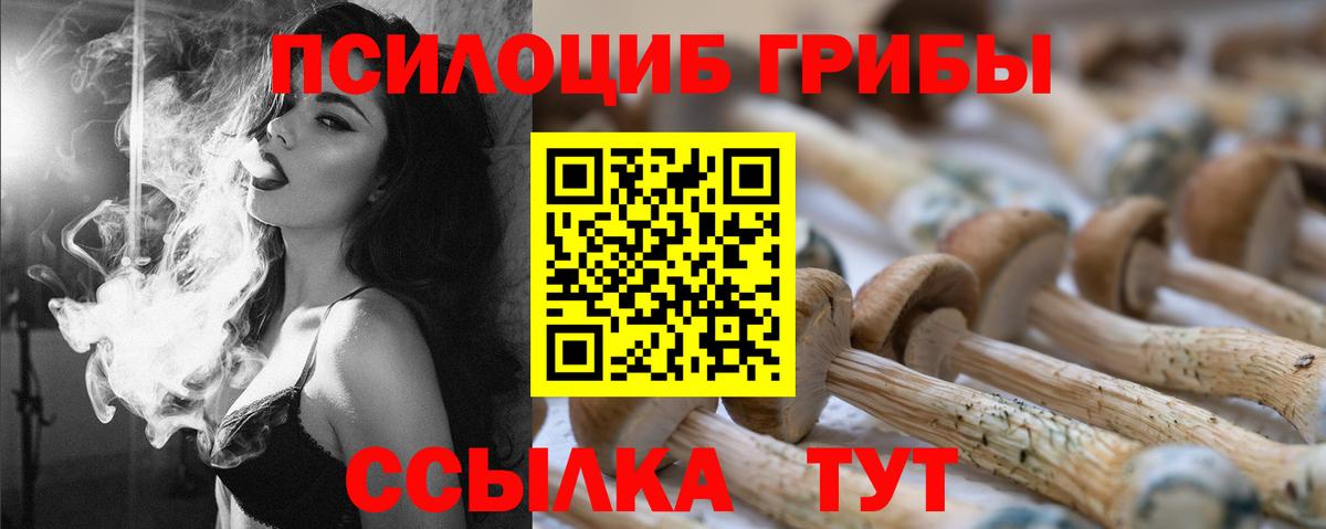 Туймазы  купить  сайты  Вход с VPN  Псилоцибиновые грибы мухоморы 