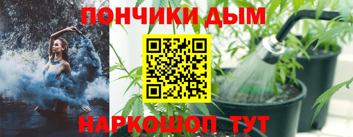 Бошки Шишки SATIVA & INDICA  Марихуана планчик  Шишки марихуана White Widow  Вход с VPN  Туймазы 